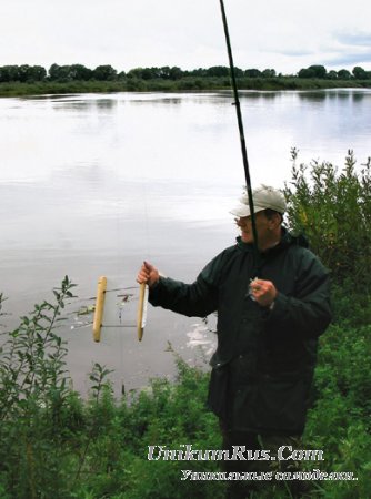Приспособления для ловли рыбы (водяной змей)