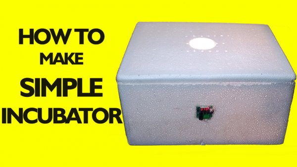 Как сделать простой инкубатор
